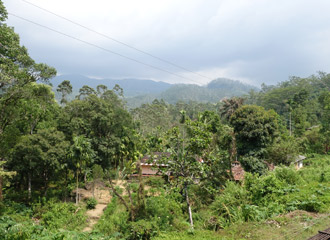 Scenery