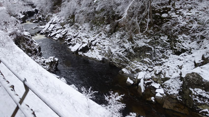 Monessie Gorge near Spean Bridge