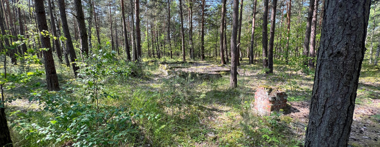 Tunnel Tom, Stalag Luft 3