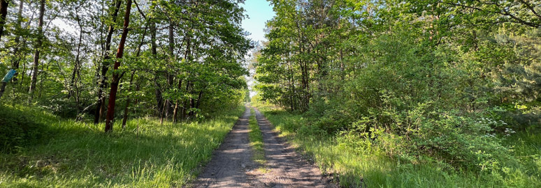 Walking from Zagan station to Stalag Luft 3 & Tunnel Harry
