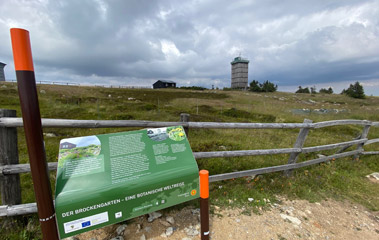 Brocken: Botanic garden