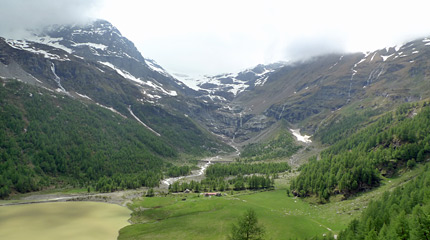 Alp Grum