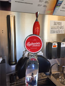 Draught beer on Prague to Vienna train!