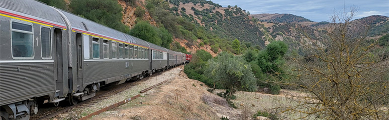 The train from Tunis to Annaba